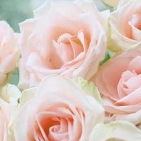 西瓜味的汽水的头像