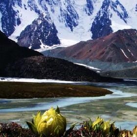 承诺似雾如风的头像