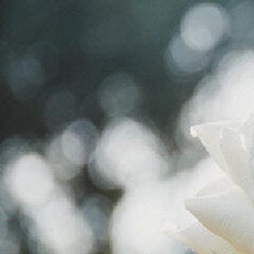 心软有错吗的头像