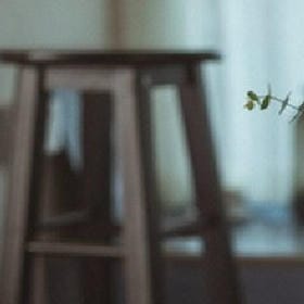 幼软猫儿的头像