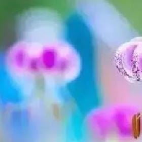 只谈情不说爱的头像