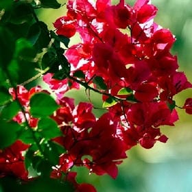 迷茫的少年的头像