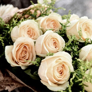 无言的深渊的头像