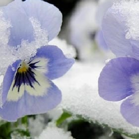 雾绕竹径的头像