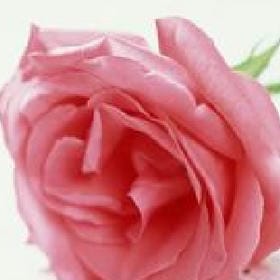 月满诗肩的头像