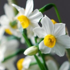 云归远村的头像