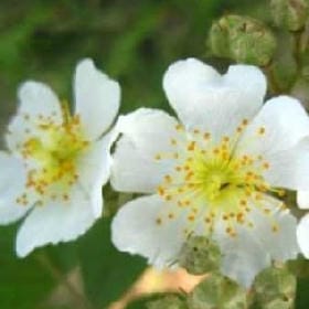 云栖禅院的头像