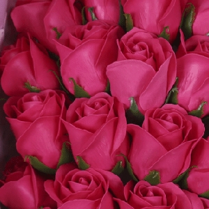 星屑手札的头像