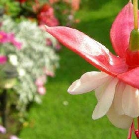 奶油郵便局的头像