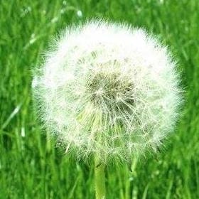 奶油殓员的头像