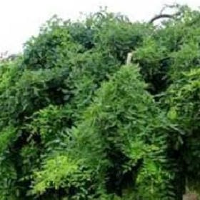 梦想离我太远的头像