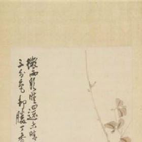 孤舟落叶的头像