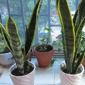 浑浊的不像话的头像