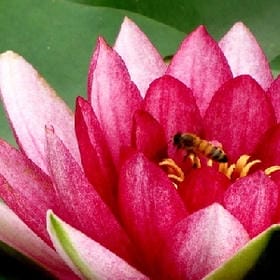 自找的痛就别喊的头像