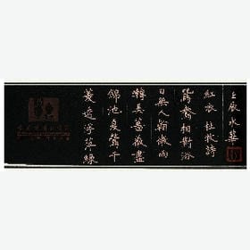 小鹿睫毛的头像