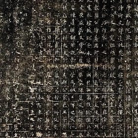 虫飞甍甍的头像