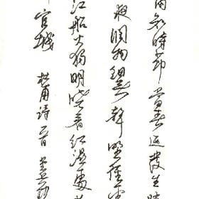 可惜玫瑰它带刺的头像