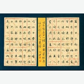 撞我心上你瞎啊的头像