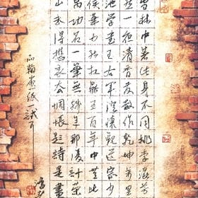 来自娘胎的你的头像