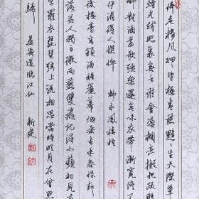 乞人不屑也的头像