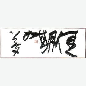 一眼惊鸿的头像