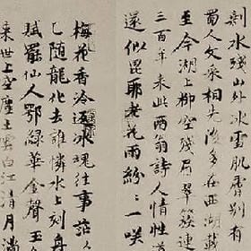 阿雨姑娘的头像