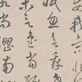 温柔是他乡的头像