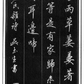 桃心的头像