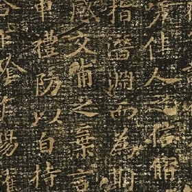 终识得去退让的头像