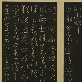 我是宠物我狠怪的头像