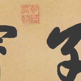 安居旧巷猫患者的头像