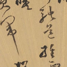 格子控∝的头像