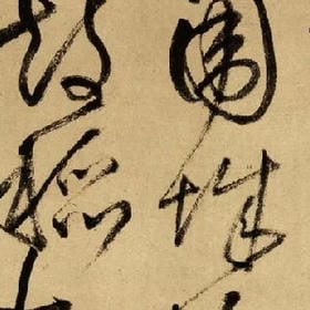 vip006373的头像