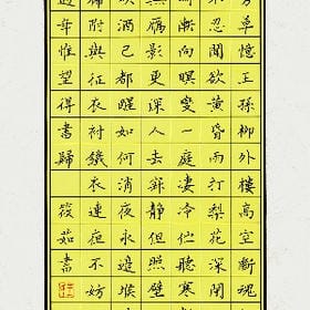 user006405的头像