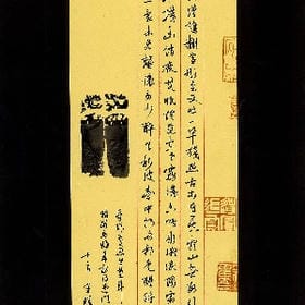 vip006436的头像