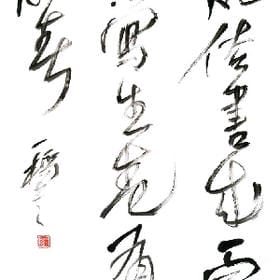 user006486的头像
