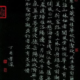 vip006514的头像