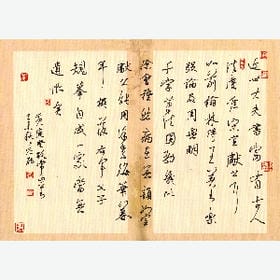 svip006563的头像