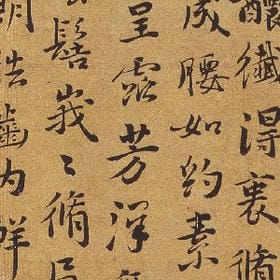 user006759的头像