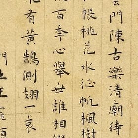 很可耐的妹子的头像
