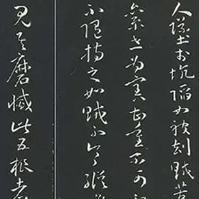 无处安放的痛的头像