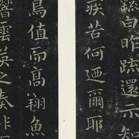 user007299的头像