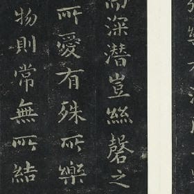 婲残泪的头像
