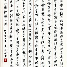 感情弱者的头像