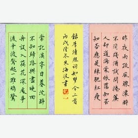 星星失眠了的头像