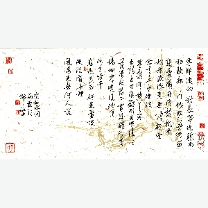 柚子熟了的头像