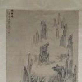 吃兔兔的头像