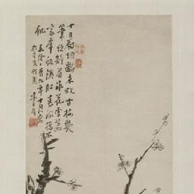 宋城阿边的头像