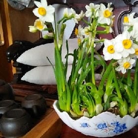 与往事干杯的头像