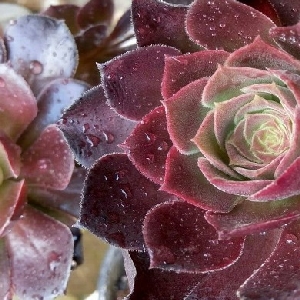 何以心动的头像